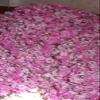 Holi Water - Pure Rose Water Hydrosol view 2