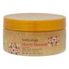 Bodycology Cherish The Moment Exfoliating Sugar Scrub for Women, 10.5 Fluid Ounce view 1