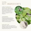 Tammy Fender - Epi-Peel Facial Mask | Natural, Organic, Cruelty Free, Non-Toxic Skincare | Mineral Rich Clay Micro-Exfoliator (2.3 oz | 65 g) view 4