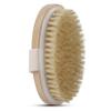 Dry Skin Body Brush - Improves Skin's Health and Beauty - Natural Bristle - Remove Dead Skin and Toxins, Cellulite Treatment, Improves Lymphatic Functions, Exfoliates, Stimulates Blood Circulation view 1