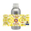 Deve Herbes Pure May Chang Essential Oil (Litsea cubeba) Steam Distilled 300ml (10 oz) view 2