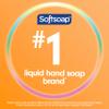 Softsoap Liquid Hand Soap, Crisp Clean Scent Hand Soap, 11.25 Ounce, 6 Pack view 3