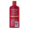 Old Spice Krakengard 2 in 1 Mens Shampoo and Conditioner, 12 Ounce view 2