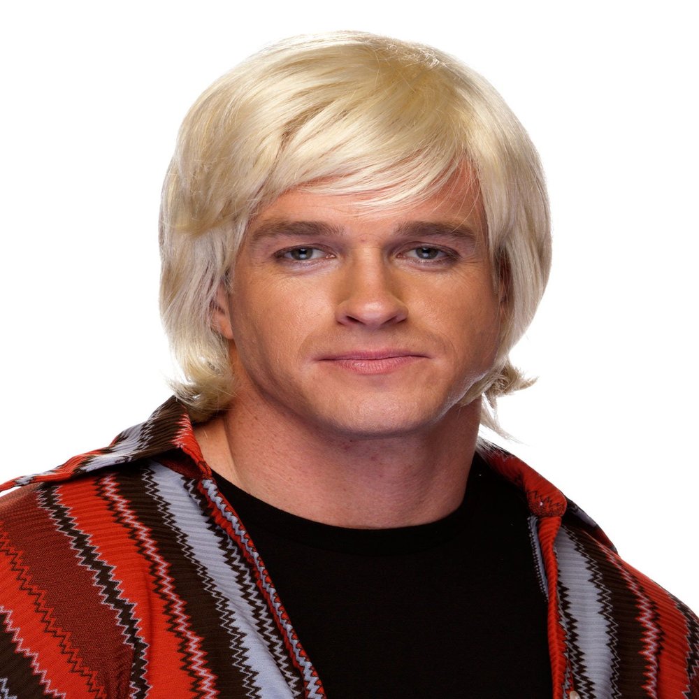 70S Shag Costume Wig By Characters 12 - Brown