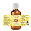 Deve Herbes Pure Caraway Essential Oil (Carum carvi) Steam Distilled 100ml (3.38 oz) view 2