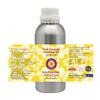 Deve Herbes Pure Caraway Essential Oil (Carum carvi) Steam Distilled 630ml (21 oz) view 2