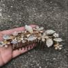 02 Vintage Rhinestone Crystal Wedding, Bridal or Prom Hair Comb view 4