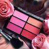 Viseart Paris Blush Palette Rose/Coral view 2