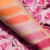 Viseart Paris Blush Palette Rose/Coral view 3