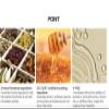 Doori Professional Honey Intensive Hair Mask Daeng Gi Meo Ri 150 ml view 4