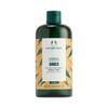The Body Shop Ginger Scalp Care Shampoo, Transparent, 13.5 Fl Oz (Packaging May Vary) view 1