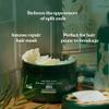 The Body Shop Shea Butter Richly Replenishing Hair Mask  For Dry Hair Prone to Breakage  8.2 oz view 4