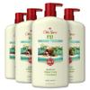 Old Spice Body Wash for Men, 24/7 Shower Fresh with Lasting Scent, Cleanse & Refresh, Gentle on Skin, Vitamin B3, Fiji with Palm Tree + Coconut Scent, 25 oz (Pack of 4) view 1