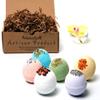Organic Bath Bombs Gift Set for Women - All Natural with Bath Dead Sea, Epsom and Himalayan Salts, Apricot Oil - Best Gift Idea for Her, Mom, Wife, Mother, Grandma, Girlfriend, Sisters view 1