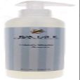 8 oz Glacier Hand Wash