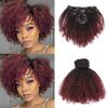 Ombre Curly Clip In Hair Extensions 4B 4C Afro Kinkys Curly Hair Extensions Clip In For Black Women 8A Virgin Natural Human Hair Full Head Kinky Hair Clip Ins Two Tone Ombre 120G #1b/99j AC 14Inch view 1
