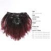 Ombre Curly Clip In Hair Extensions 4B 4C Afro Kinkys Curly Hair Extensions Clip In For Black Women 8A Virgin Natural Human Hair Full Head Kinky Hair Clip Ins Two Tone Ombre 120G #1b/99j AC 14Inch view 3