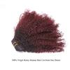 Ombre Curly Clip In Hair Extensions 4B 4C Afro Kinkys Curly Hair Extensions Clip In For Black Women 8A Virgin Natural Human Hair Full Head Kinky Hair Clip Ins Two Tone Ombre 120G #1b/99j AC 14Inch view 4