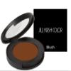 Jill Kirsh Blush for Golden Brown, Deep Honey Blonde and Red Hair Hair-Color Matched Blush for Balanced, Natural-Looking Color Buildable, Lightweight Formula (Bronze Glow - Pearl, .15 oz) view 3