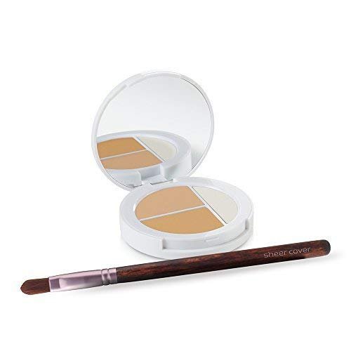 Sheer Cover Studio Conceal and Brighten Highlight Trio Two-Toned Concealers Shimmering Highlighter Light/Medium Shade With FREE Concealer Brush 3 Grams