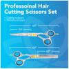 Equinox Professional Razor Edge Hair Cutting/Thinning Scissor Set/2, 6.5" view 3