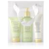 Mary Kay Satin Hands Pampering Set- White Tea & Citrus view 1