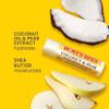 Burt's Bees Lip Balm, Beeswax, Strawberry, Coconut and Pear, and Vanilla Bean Pack, With Responsibly Sourced Beeswax, Tint-Free, Natural Lip Treatment, 4 Tubes, 0.15 oz. view 2