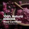 H&C 100% Pure Rose Petals Powder (Rosa Centifolia) for Facial Mask Formulation - 1/2 LB/ 227 gms / 8 Oz view 3
