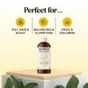 Sulfate Free Shampoo for Oily Hair - Lemon Sage Clarifying Shampoo for Build Up and Oily Scalp Care with Rosemary Essential Oil - Deep Cleansing Rosemary Shampoo for Greasy Hair and Product Build Up view 2