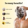 Sulfate Free Shampoo for Oily Hair - Lemon Sage Clarifying Shampoo for Build Up and Oily Scalp Care with Rosemary Essential Oil - Deep Cleansing Rosemary Shampoo for Greasy Hair and Product Build Up view 3