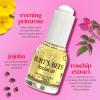 Burt's Bees Gua Sha Face Oil With Rosehip Seed Extract, Reduces Appearance of Fine Lines and Wrinkles, Use with Ice Roller & Facial Tools, Natural Origin Skin Care, 0.51 fl. oz. view 4