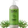 Clarifying Shampoo for Build Up & Oily Hair - Tea Tree Shampoo for Men and Women with Rosemary Essential Oil for Oily Hair and Scalp - Color Safe Vegan Sulfate Silicone & Paraben Free (16 Fl Oz) view 1