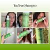 Clarifying Shampoo for Build Up & Oily Hair - Tea Tree Shampoo for Men and Women with Rosemary Essential Oil for Oily Hair and Scalp - Color Safe Vegan Sulfate Silicone & Paraben Free (16 Fl Oz) view 2