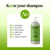 Clarifying Shampoo for Build Up & Oily Hair - Tea Tree Shampoo for Men and Women with Rosemary Essential Oil for Oily Hair and Scalp - Color Safe Vegan Sulfate Silicone & Paraben Free (16 Fl Oz) view 4