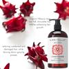 Laritelle Organic Anti-Thinning Conditioner | Fortifying, Strengthening & Rejuvenating | Prevents Hair Loss and Shedding, Promotes New Hair Growth | Ayurvedic Herbs, Lavender, Ginger, Rosemary view 3