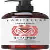 Laritelle Organic Shampoo Fertile Roots 17.5 oz  Fights Hair Loss & Promotes Healthy New Growth with Lavender, Ginger, Rosemary, Patchouli, Clary Sage  Strengthens, Nourishes & Balances Scalp view 1