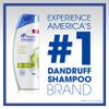 Head & Shoulders Green Apple Daily-use Anti-dandruff Shampoo and Conditioner Twin Pack, 24.4 Fluid Ounce view 4