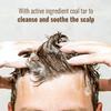 Polytar Liquid Concentrated Antiseptic Tar Medicated Scalp Cleanser Shampoo 150 Ml (Pack Of 2) view 3