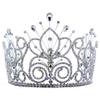 #16109 - Maus Spray Crown - Crystal - 6" view 1