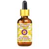 dve herbes Cardamom Essential Oil (Elettaria cardamomum) with Glass Dropper | Pure | Non-Sticky | Non-Greasy | Lightweight | Men & Women | All Skin Types | Steam Distilled 5ml (0.16 oz) view 1