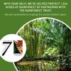 Seven Minerals EWG Verified Castile Soap - 1 Gallon, No Palm Oil, Unscented Mild & Gentle Skin Cleaning, For Sensitive Skin, Baby Wash, Soothing, Non GMO & Vegan Formula with Organic Carrier Oils view 4