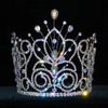 #16109 - Maus Spray Crown - AB Silver- 6" view 1