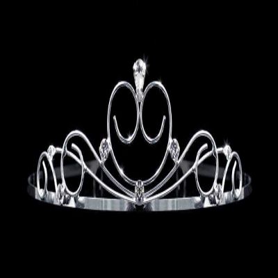 #14694 - Tranquility Wire Tiara
