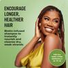 Mielle Organics Rosemary Mint Hair Strengthening Biotin Shampoo - Moisturizing Hair Shampoo for Women and Men to Gently Cleanse, Repair & Protect Strands (12 oz) view 3