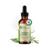 Mielle Organics Rosemary & Mint Hair Oil - Strengthening Biotin Oil Infused Frizzy & Damaged Hair Care - Split Ends & Dry Scalp Treatment to Support Longer, Healthier Strands, 2oz view 1