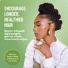 Mielle Organics Rosemary & Mint Edge Control Gel - Strong Hold Hair & Edge Gel for Women & Men - Infused with Biotin, Coconut & Babassu Oil to Encourage Longer, Healthier Hair (2 Fl Oz) view 3