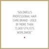 Goldwell Dualsenses Rich Repair Restoring 6 Effects Serum 100mL view 4
