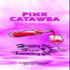 5 Pink Catawba Tanning Lotion Bronzer Packets view 1