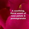 Andalou Naturals Body Btr, 1000 Roses, Velvet Soft, 8 Fl Oz view 4