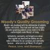 Woody's Beard Balm for Men - Facial Hair Conditioner & Beard Softener for Men, Leave-In Moisturizer, Beards Wax, 2 oz, 2 Pack view 4